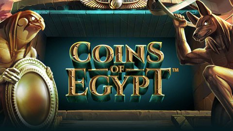 Hidden Coi of Egypt